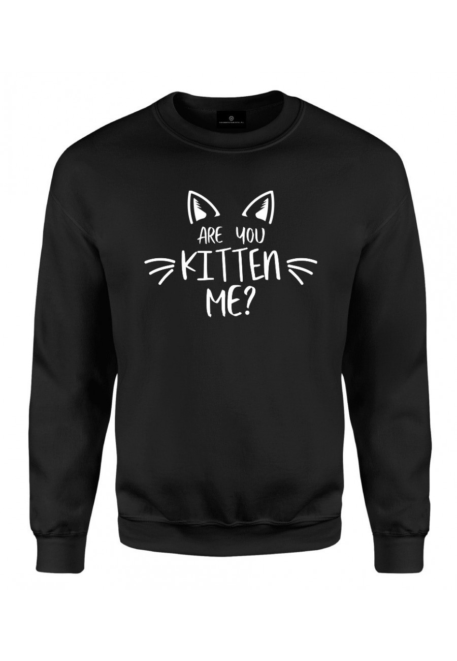 Bluza klasyczna Are you kitten me?