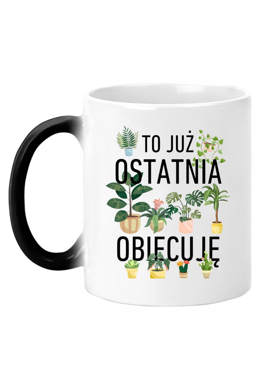 Kubek magiczny To już ostatnia, obiecuję