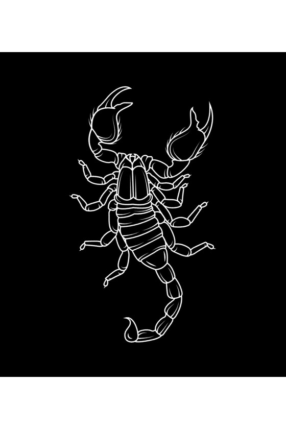 Plecak Scorpio