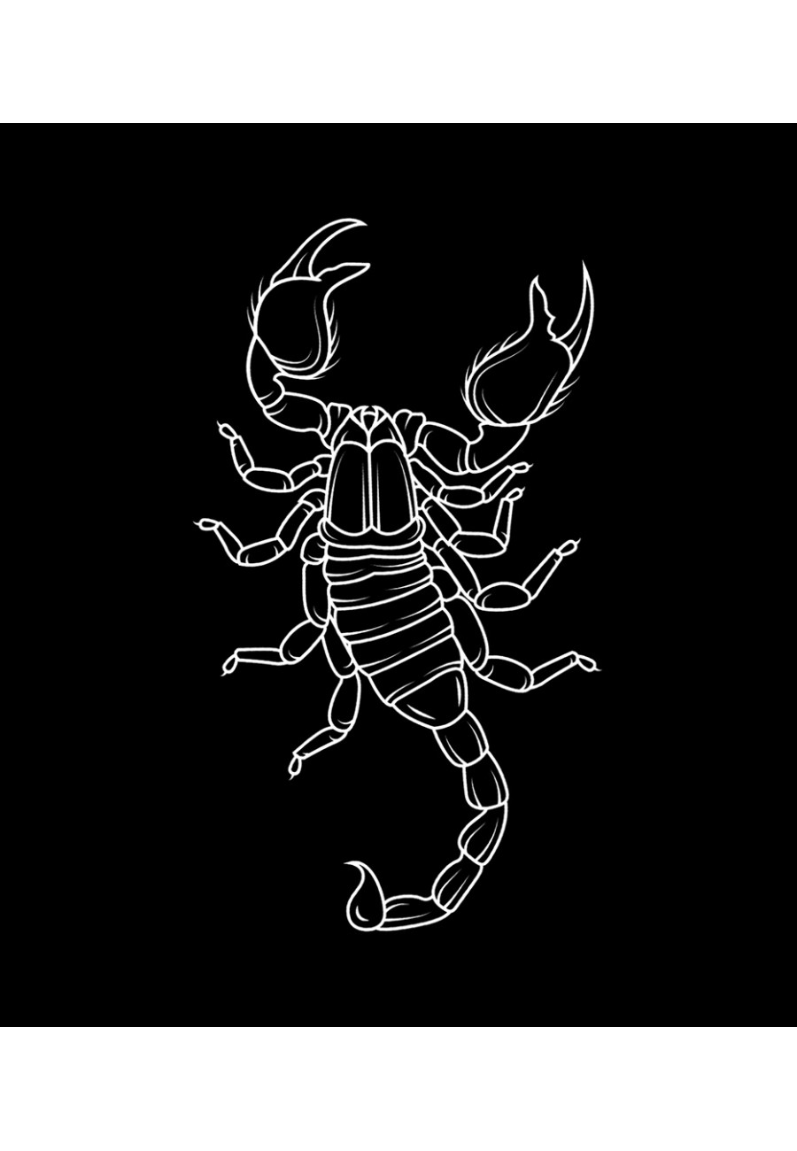 Plecak Scorpio